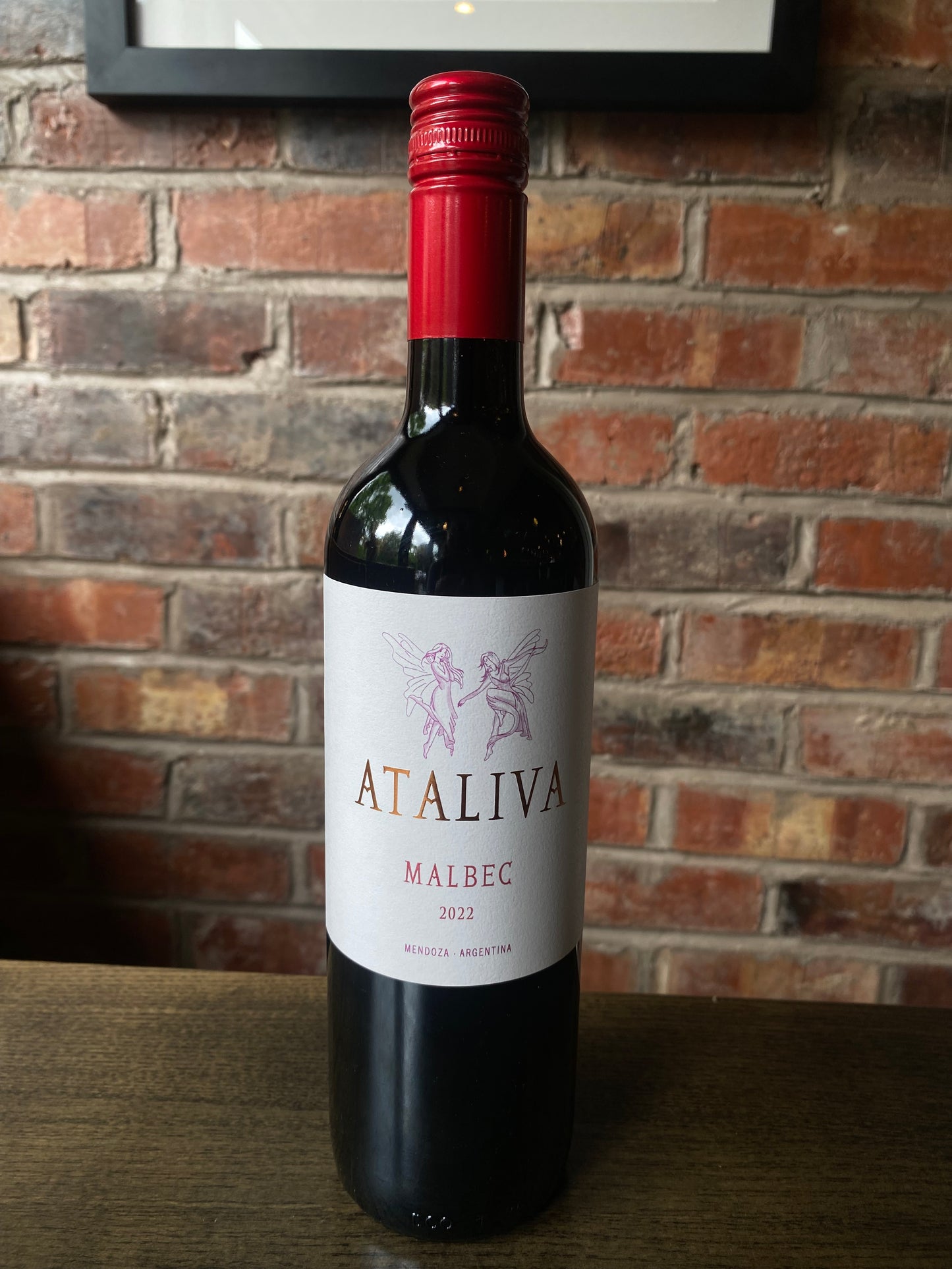 Benegas 'Ataliva' Malbec (Argentina)